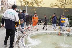 DSC01005-260223123754